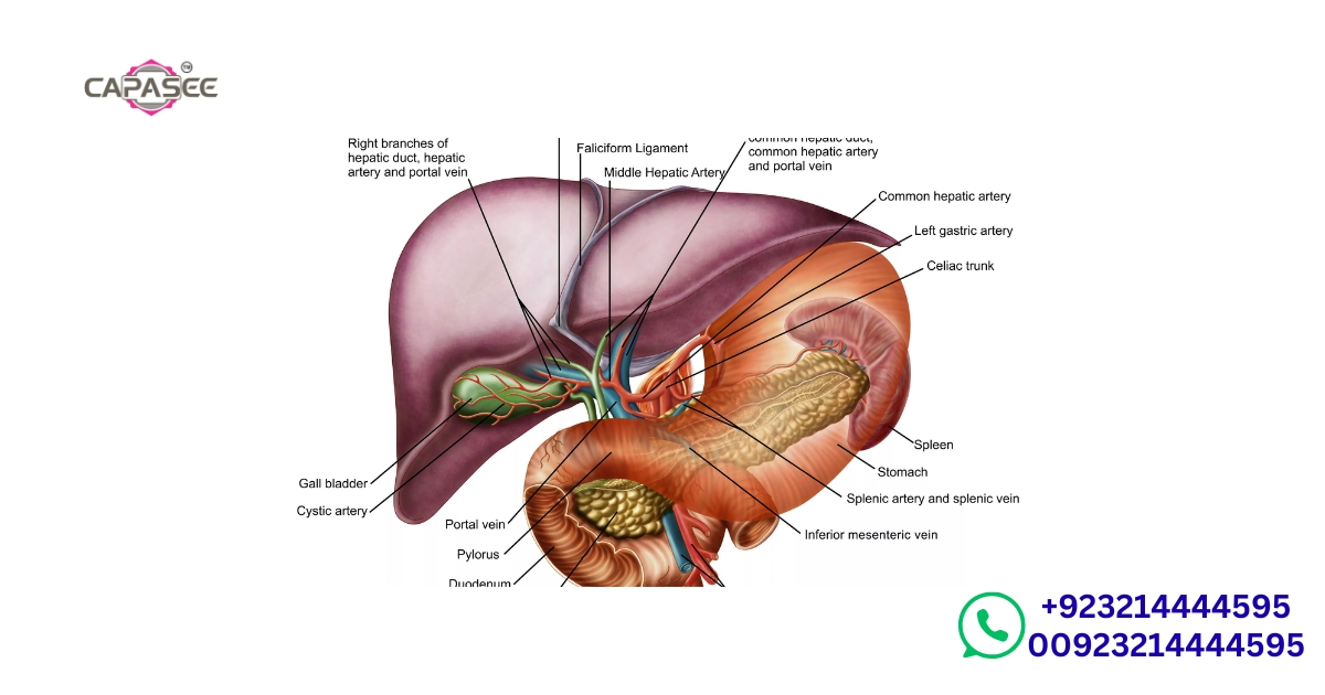 does-mild-jaundice-go-away-on-its-own-or-need-medical-help