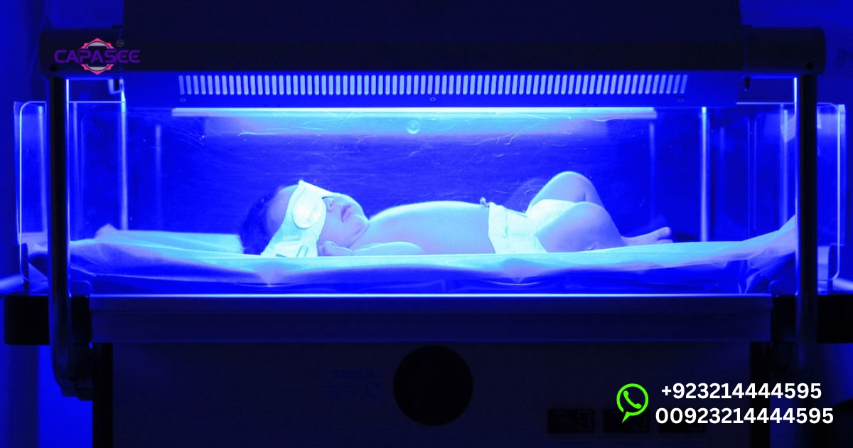 Effective Management and Prevention of Jaundice Comeback After Phototherapy