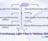 Phototherapy Light Price in Pakistan 2026